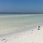 Blue Mermaid On Siesta Key