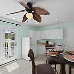 The Hummingbird