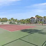 Hawks Sea Nest