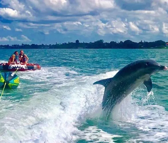 Catch Of The Day At Harbor Towers On Siesta Key