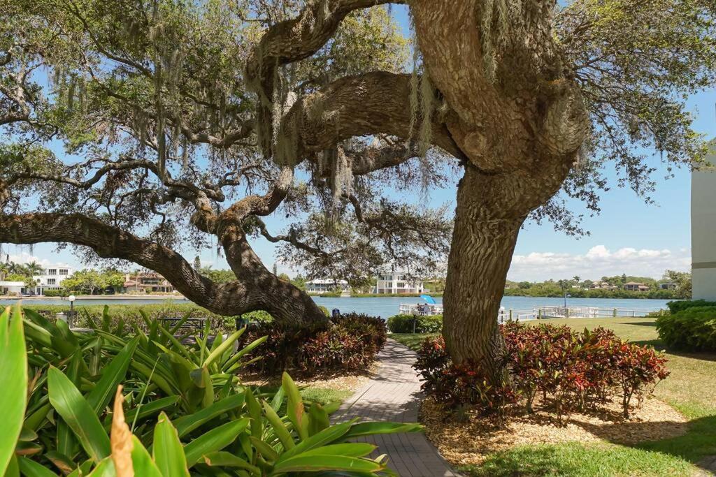 Heated Pool-short Walk To Beach, Free Trolley Around Siesta Key! Apartment *