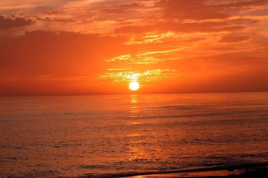 Heated Pool-short Walk To Beach, Free Trolley Around Siesta Key! Apartment