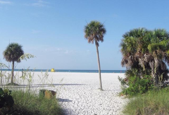 Crescent Street 1138 B, Walk To The Beach, Pool, 1 Bedroom, Pet Friendly Holiday home