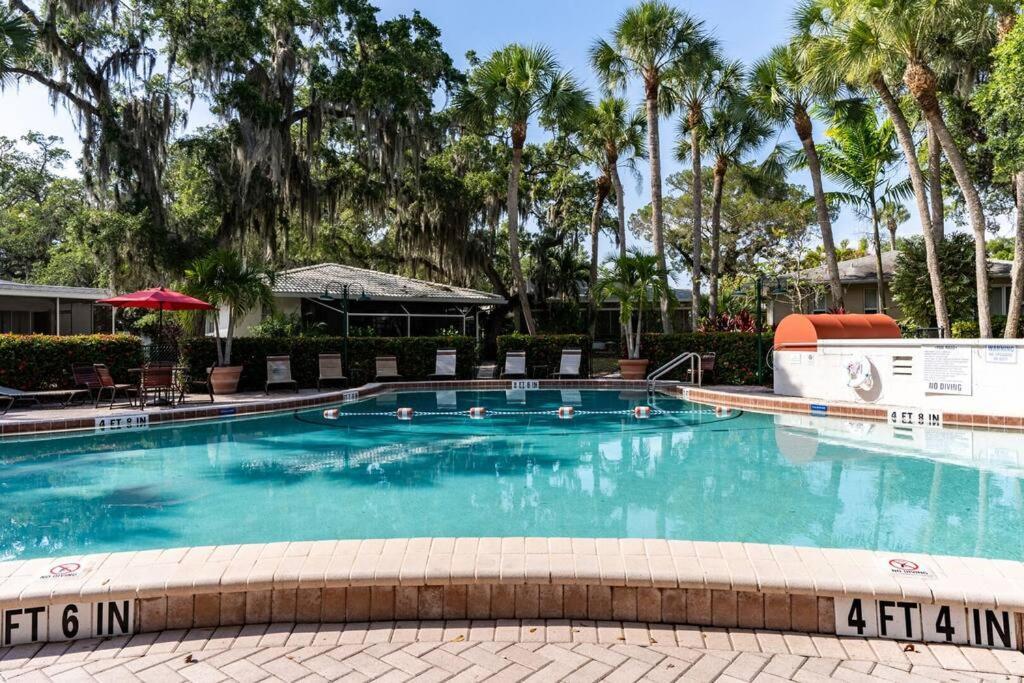 Discover The Beauty Of At Siesta Whispering Palms Villa