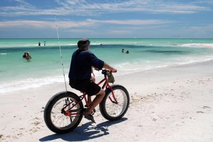 The Big Orange 1br Turtle Apartment Siesta Key
