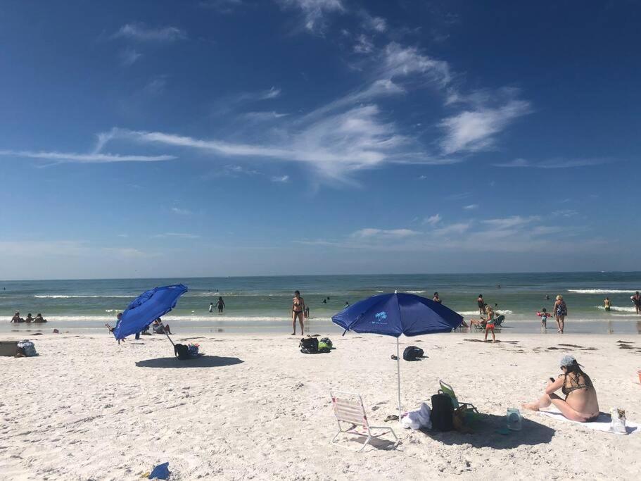 Recently Updated Cozy Siesta Key