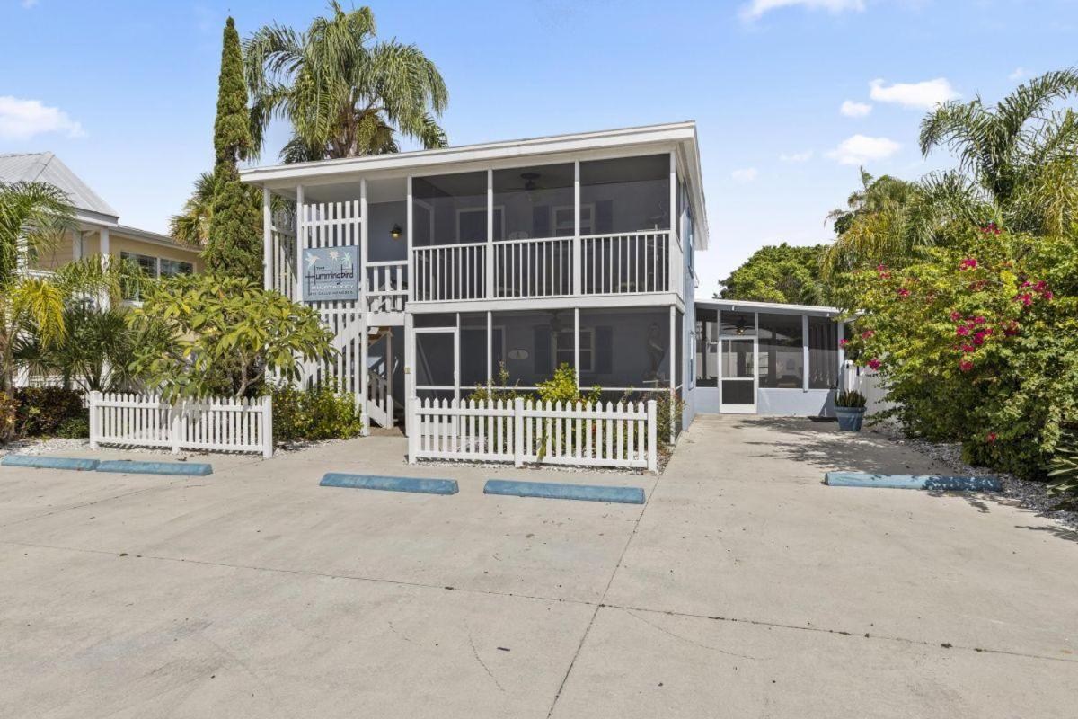 Plumbago - 5251c * Siesta Key