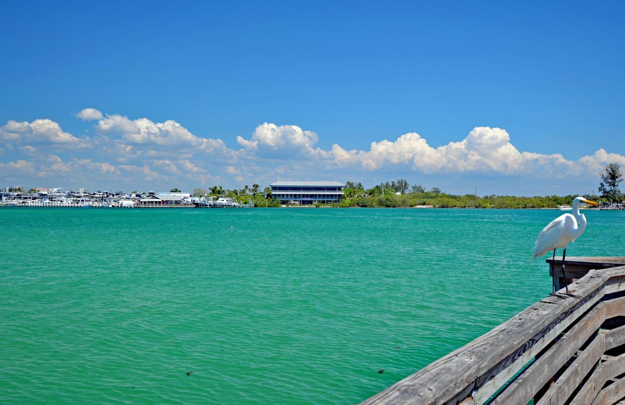 Holiday home A Few Steps From The With Community Pool Siesta Key