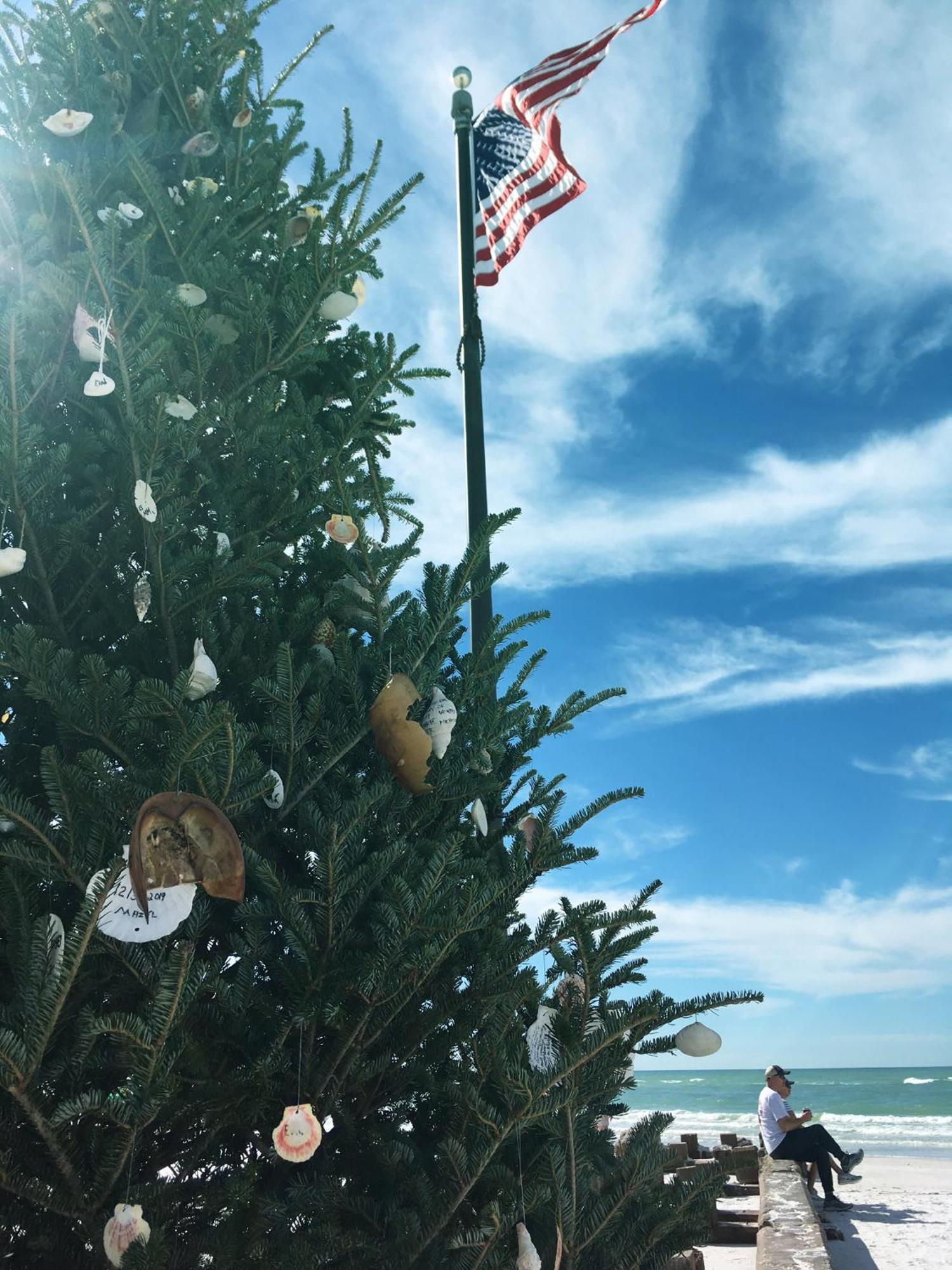 Oasis: Enjoy The Life * Siesta Key