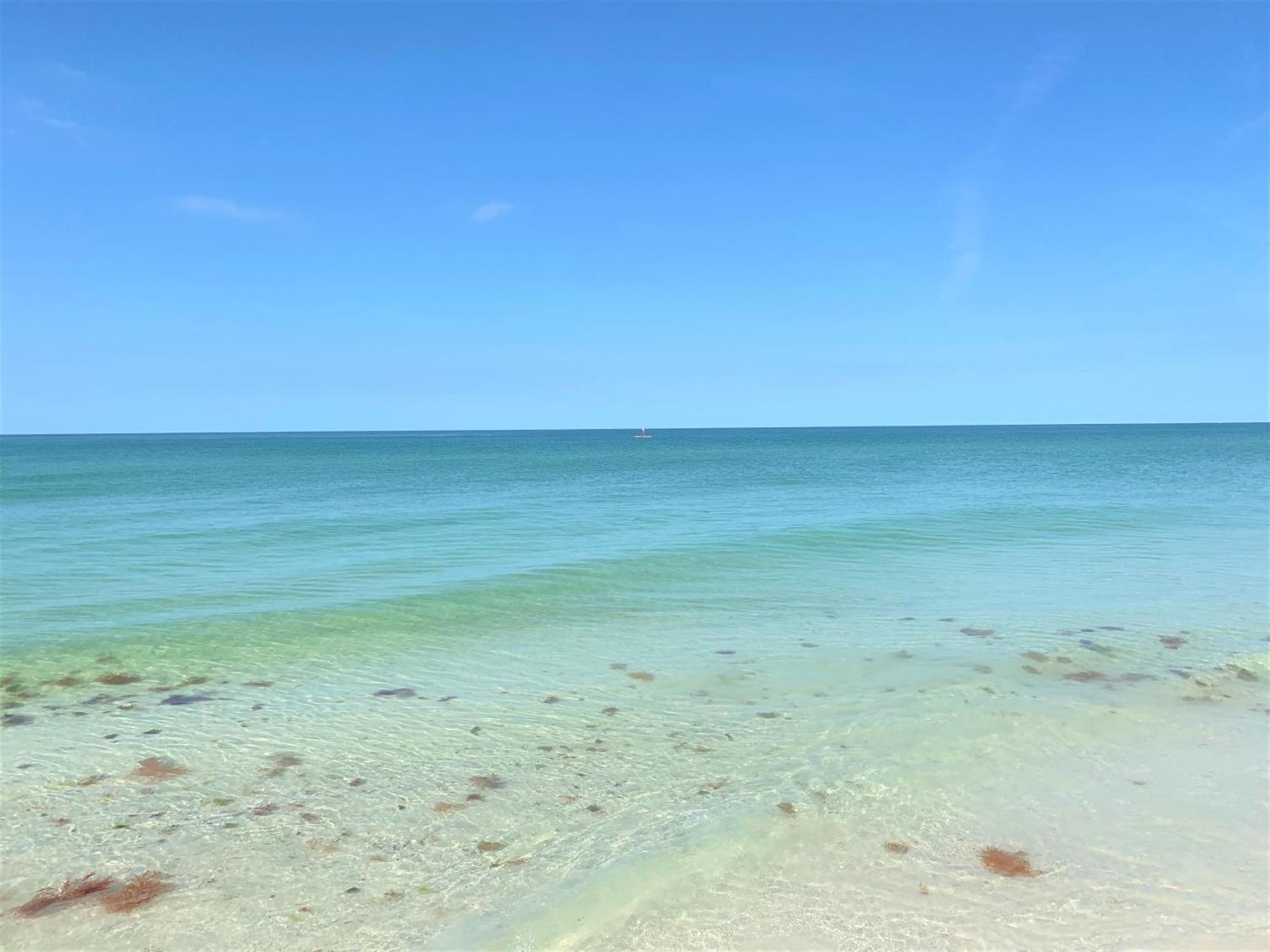 Apartment Siesta Key Inn *