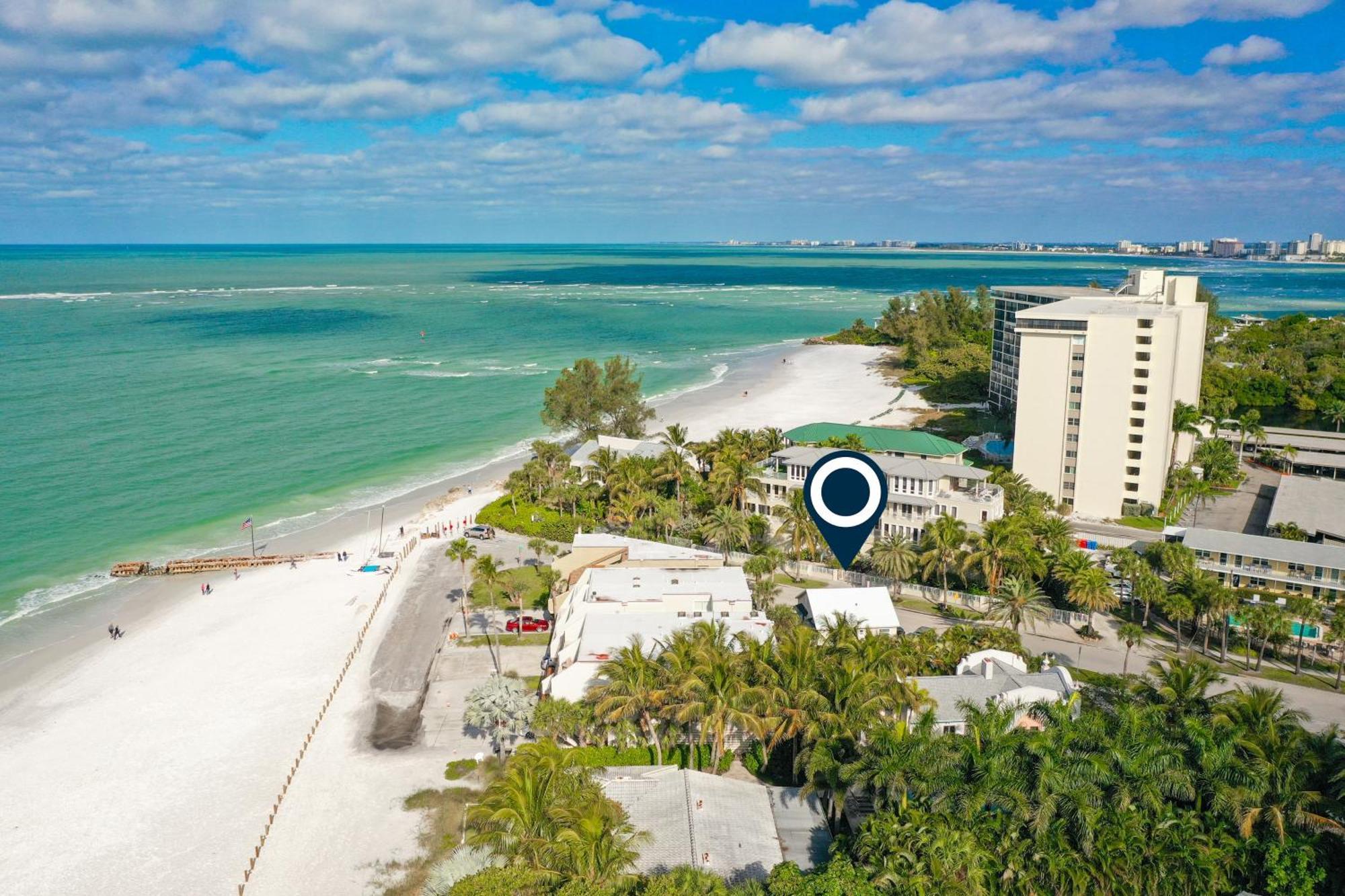 Parrot #2 Siesta Key
