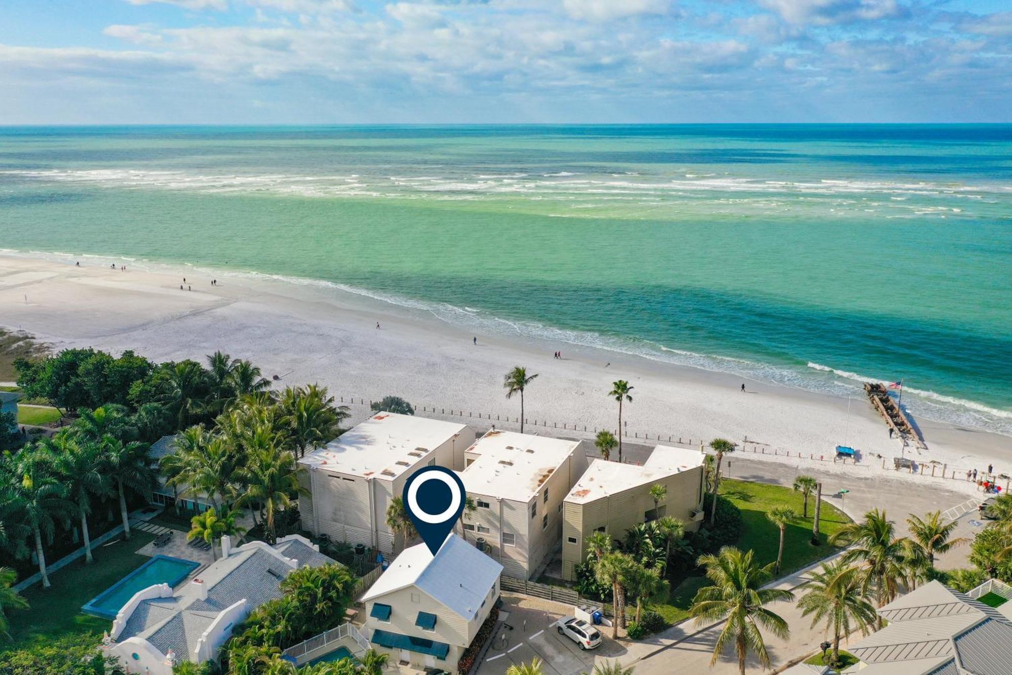 Parrot #2 Siesta Key