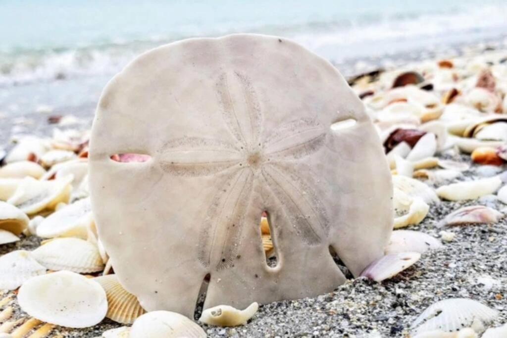 Holiday home Zachs House Pet Friendly Siesta Key