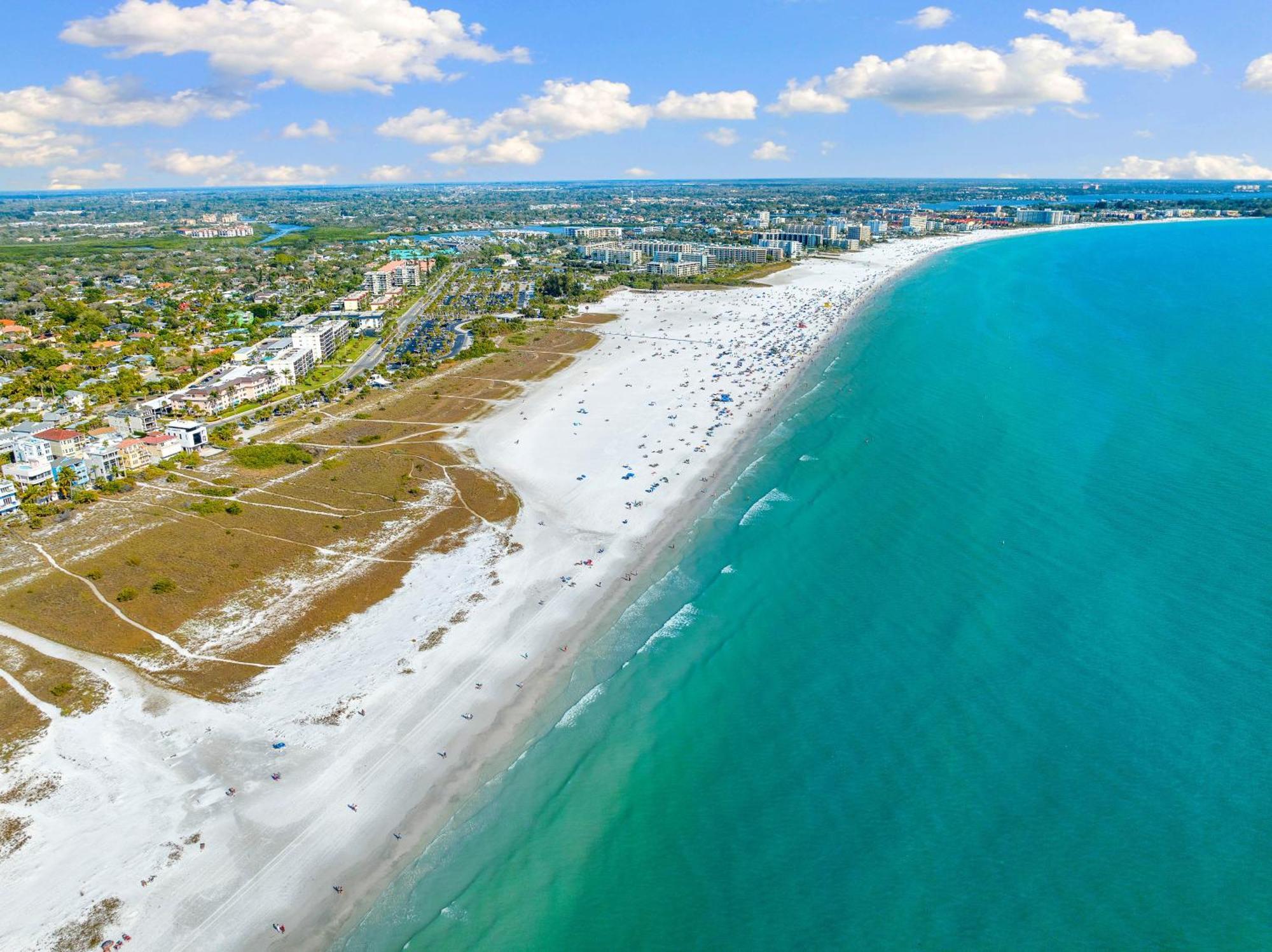 Palmas Siesta Key