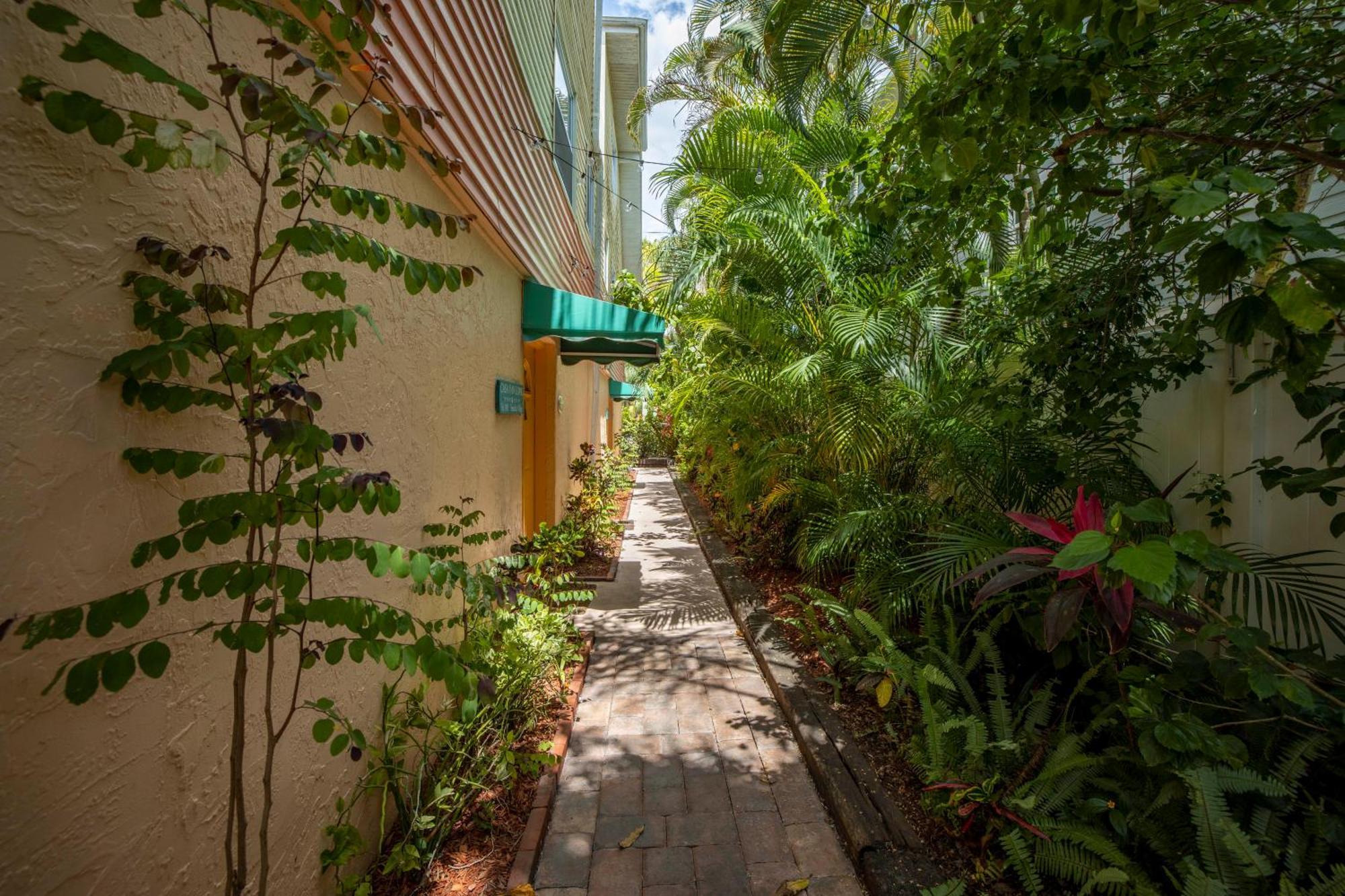 Casa Lopik Jardin- Tiki-bar, Balcony, Tropical Patio, 250 Steps To And Village! *