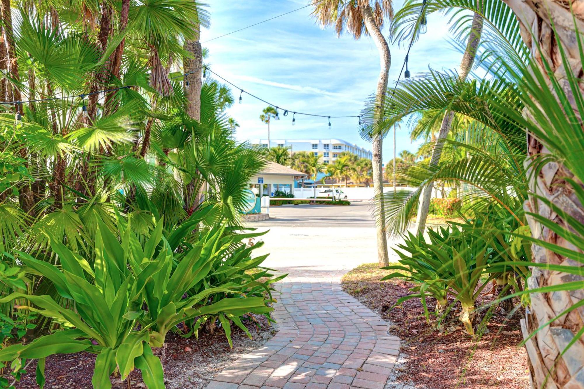 Apartment Newly Remodeled 8-steps To Path Of Beach!