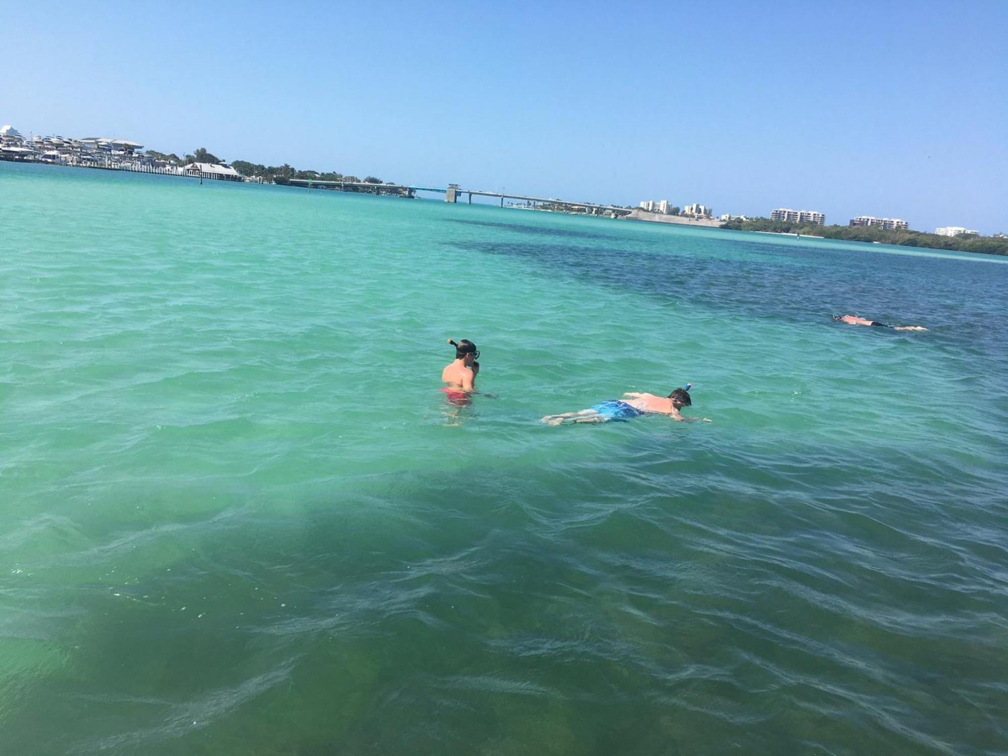 Apartment Oceanview, In Village, 20-steps To Path Of Beach, Tiki-bar, Free Bikes And Paddle-boards! Siesta Key