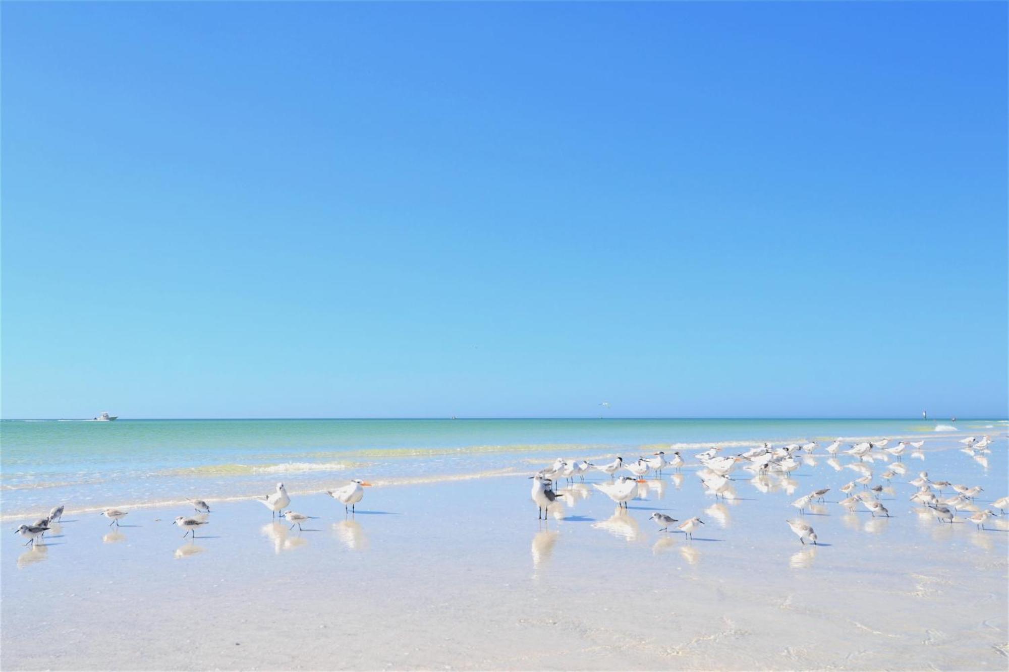 Oceanview, In Village, 20-steps To Path Of Beach, Tiki-bar, Free Bikes And Paddle-boards! *