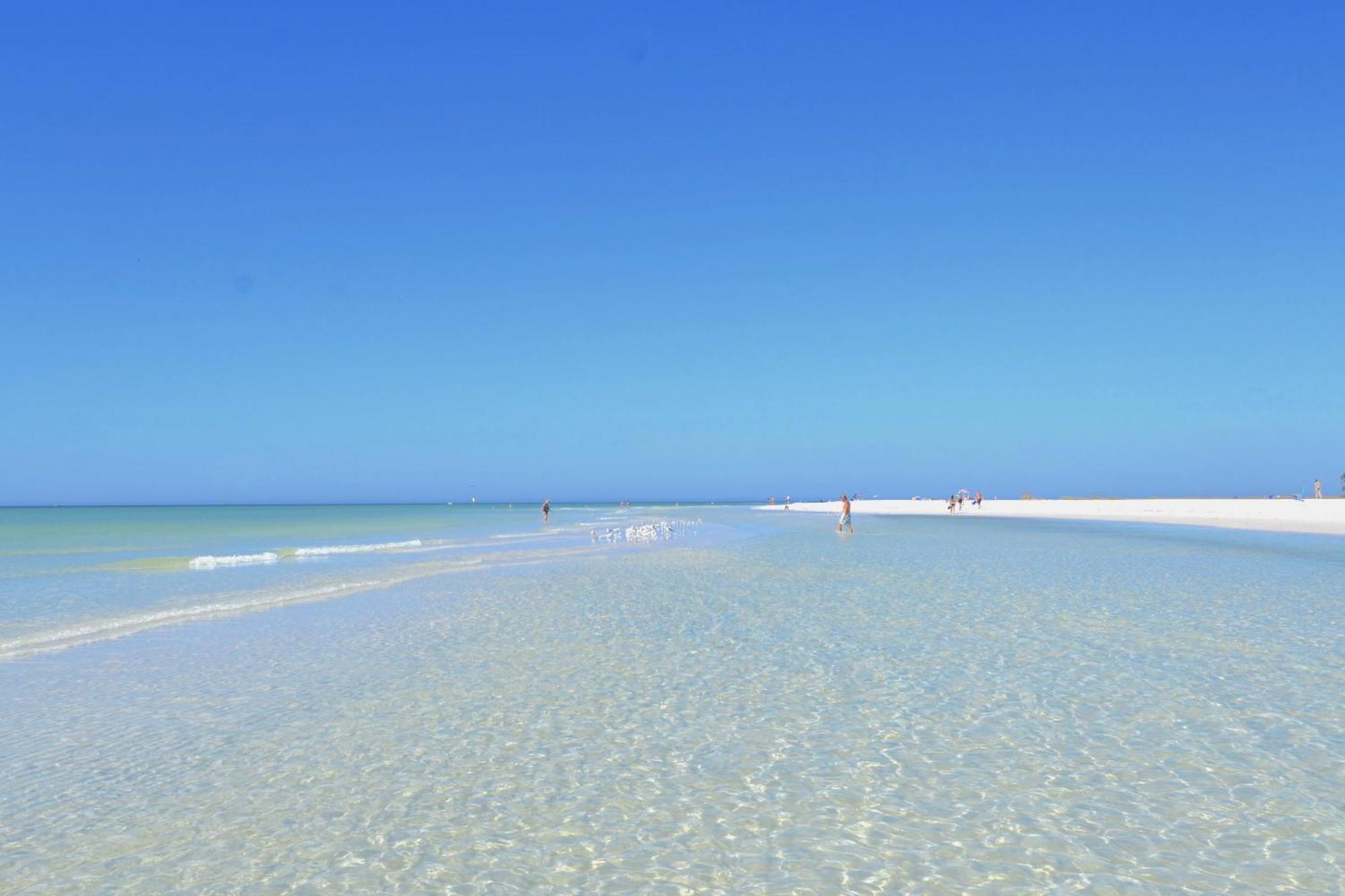 Oceanview, In Village, 20-steps To Path Of Beach, Tiki-bar, Free Bikes And Paddle-boards! Apartment *