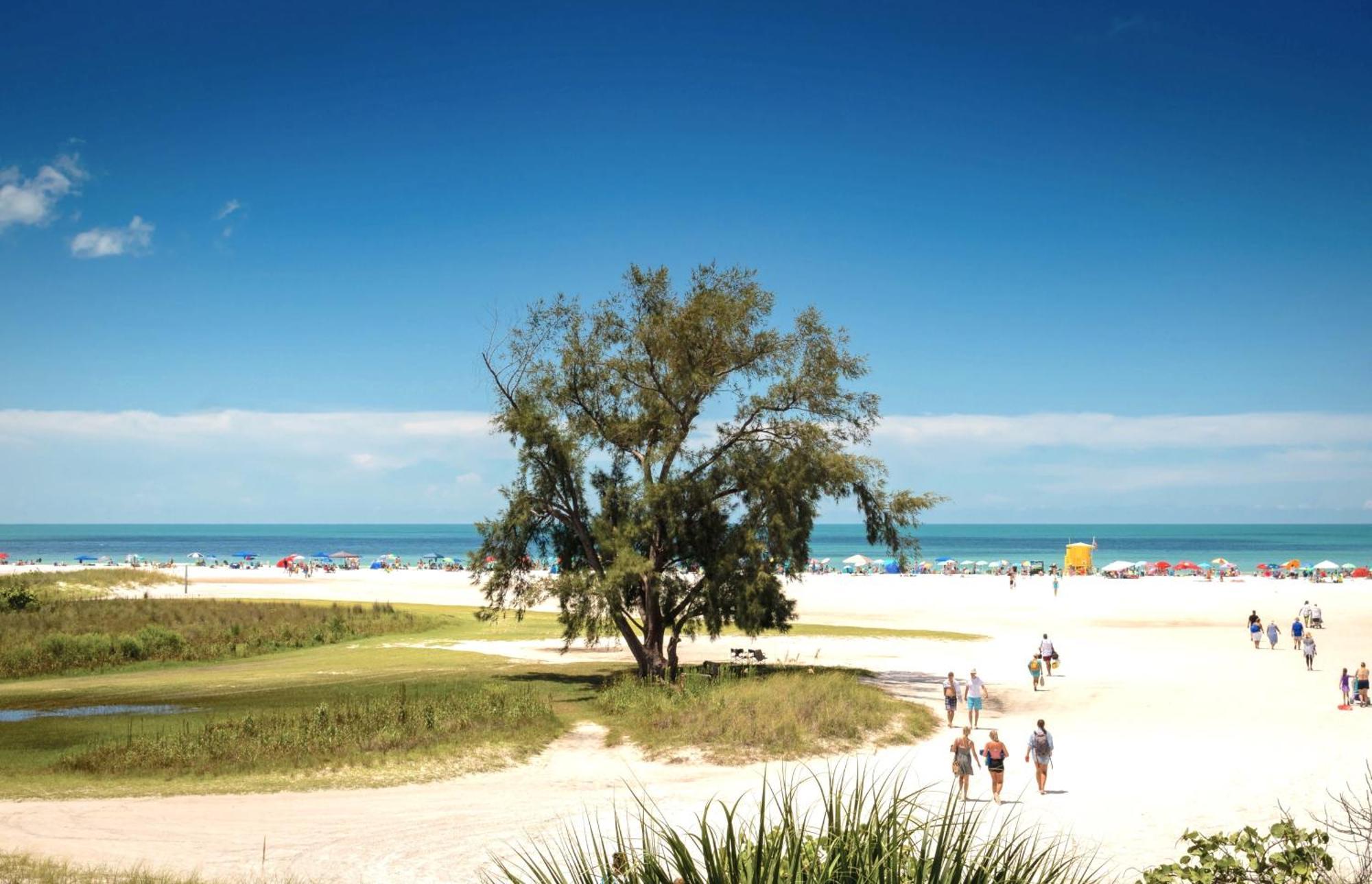 Oceanview, In Village, 20-steps To Path Of Beach, Tiki-bar, Free Bikes And Paddle-boards! * Siesta Key