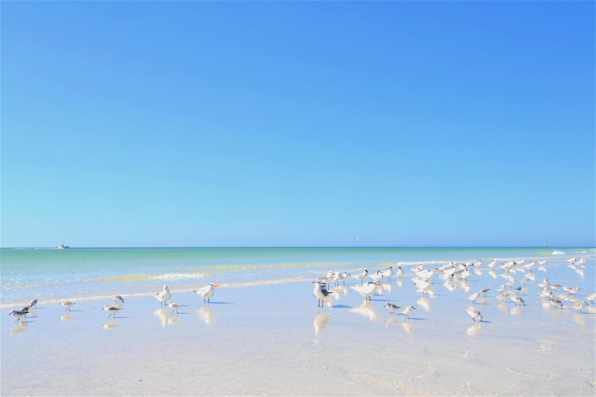 New Listing! Pool Jacuzzi, 3-min To Bars & Entertainment!. Holiday home Siesta Key