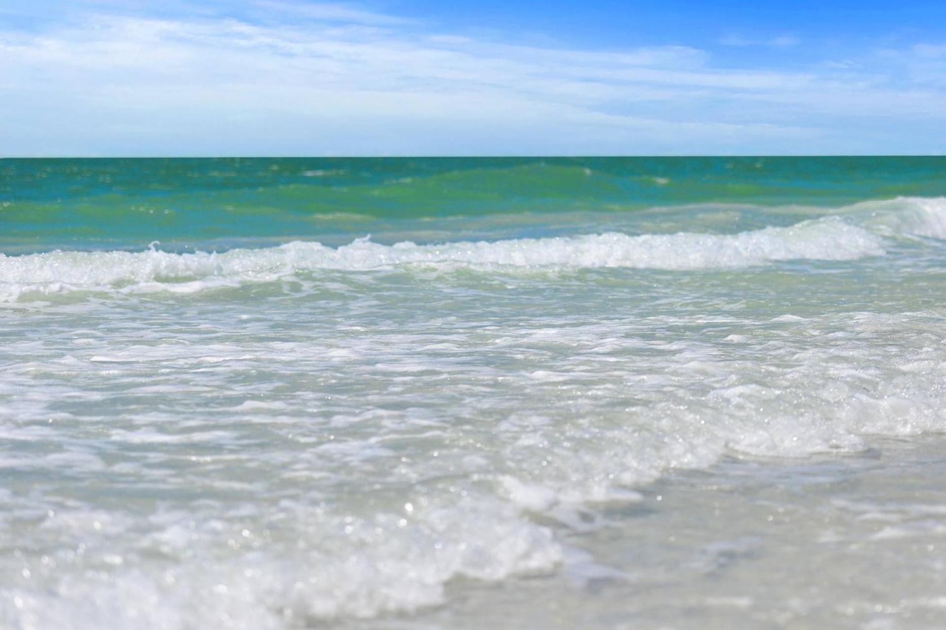 Moonmist On Holiday home Siesta Key