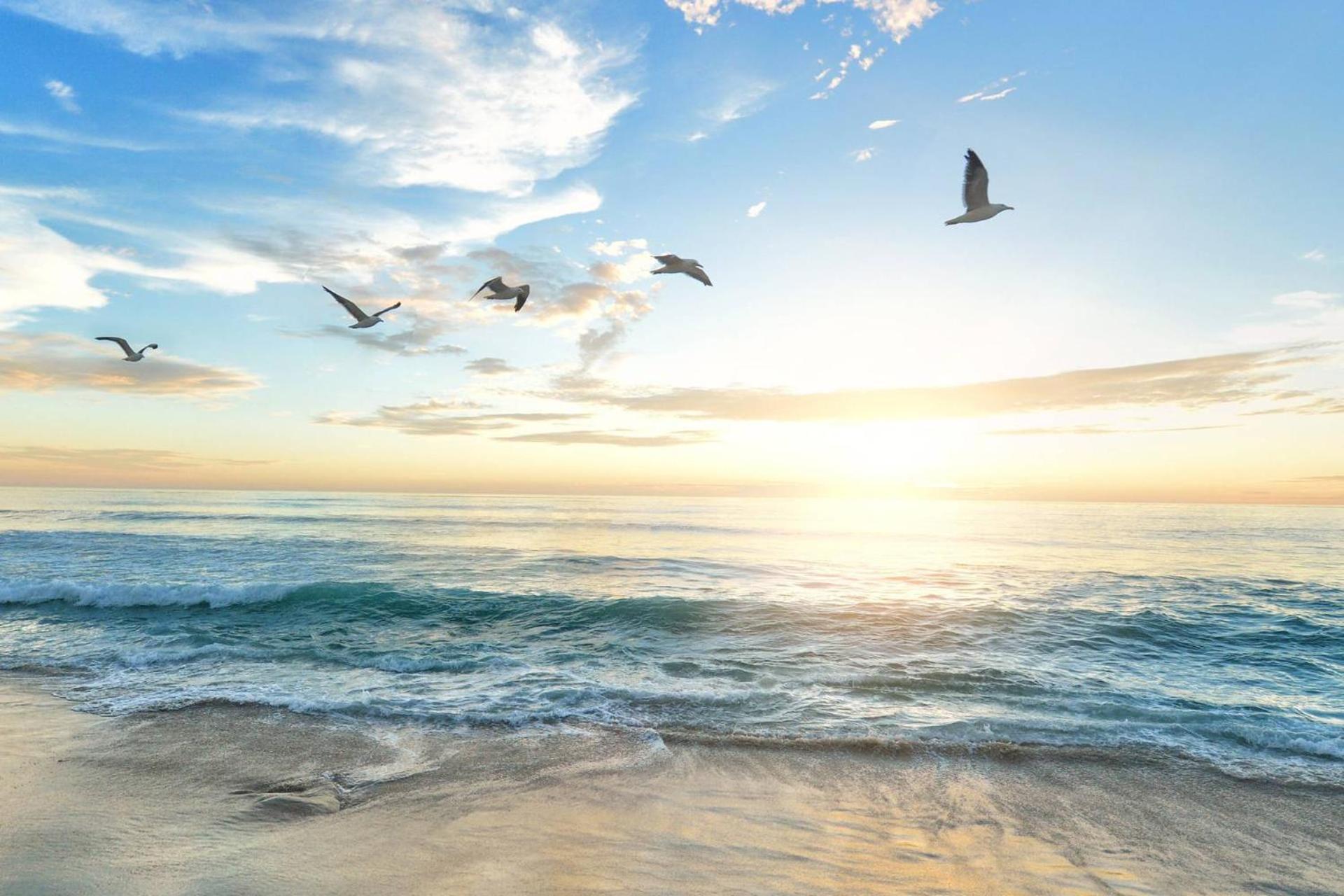 Avenida Sanctuary * Siesta Key