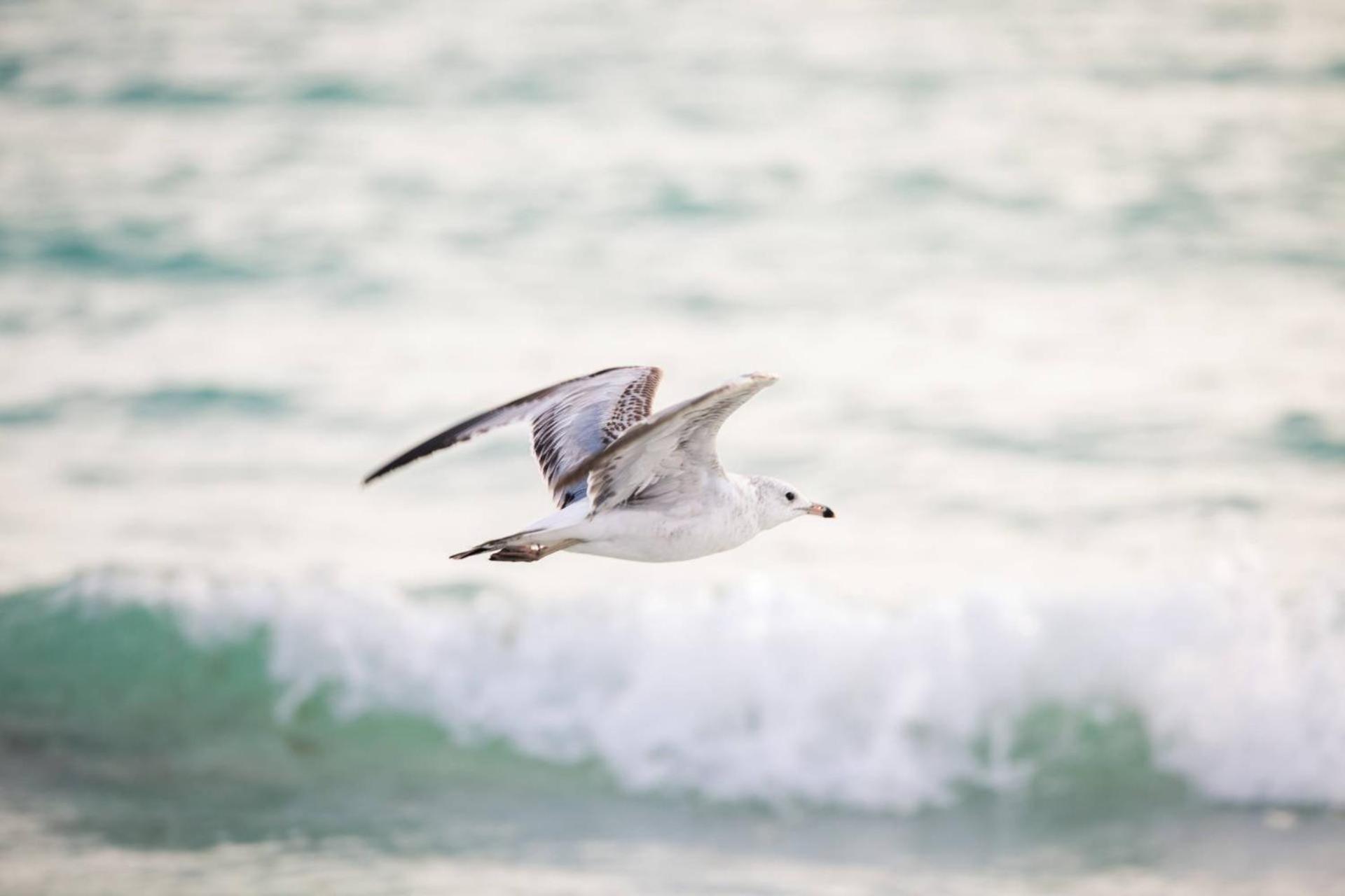 Avenida Sanctuary Holiday home Siesta Key