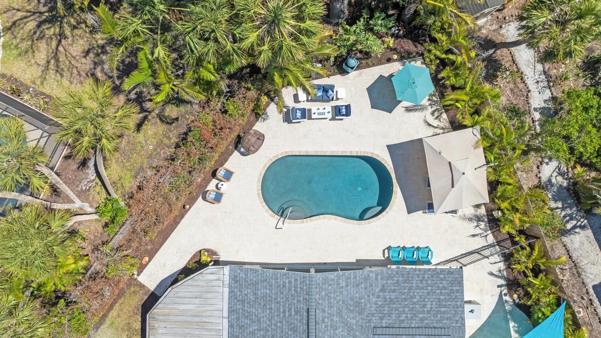Palm - 5533 Siesta Key