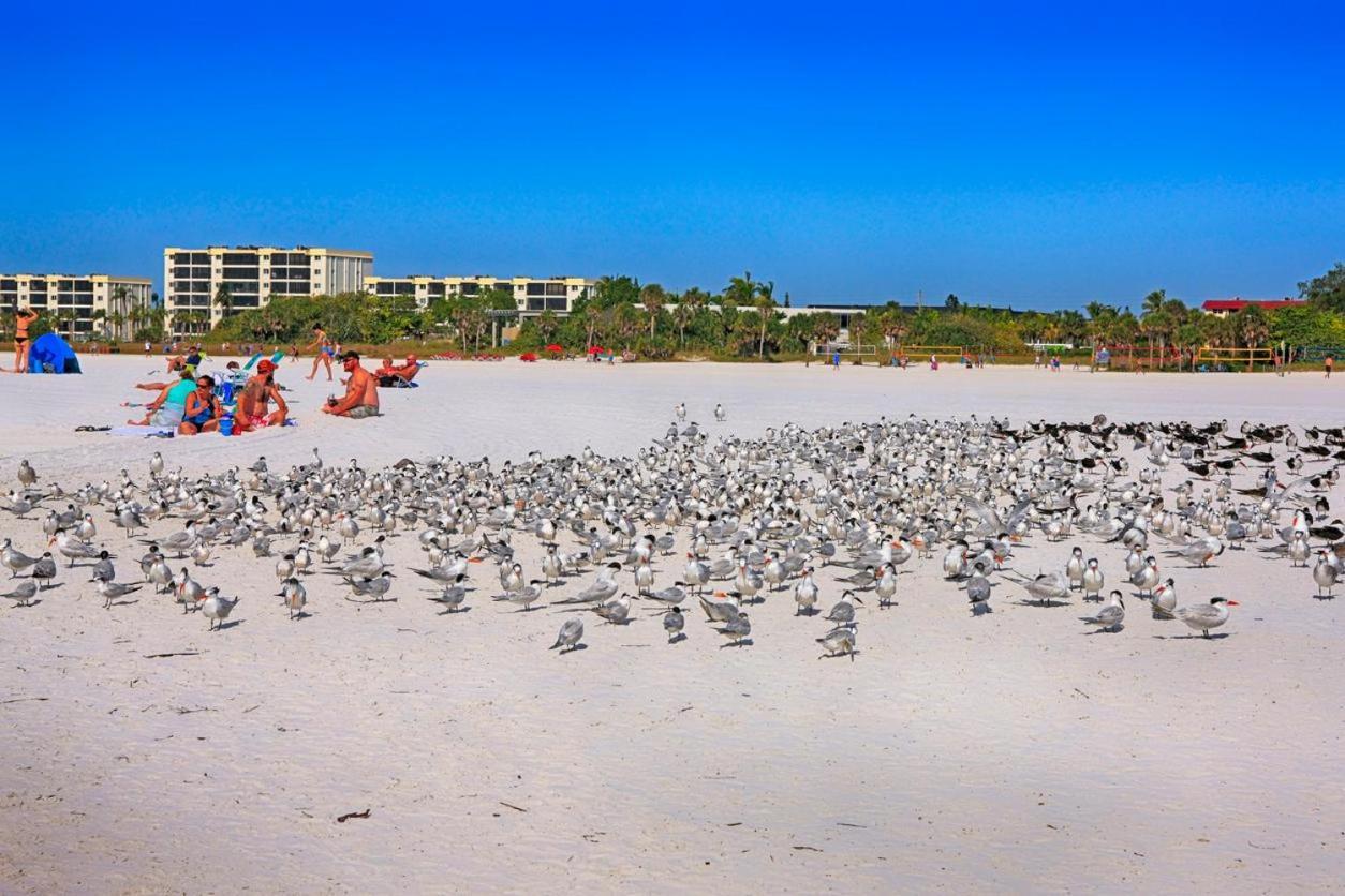 Holiday home Crescent Royale 315 Siesta Key