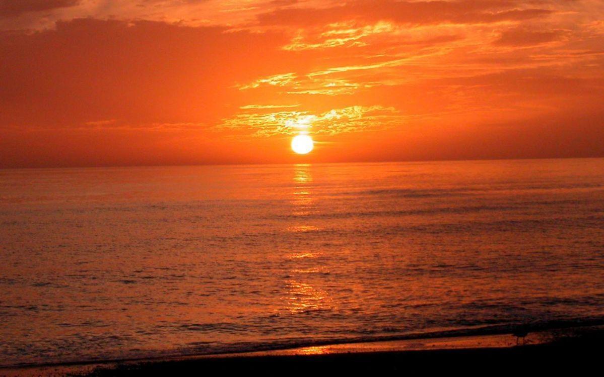 Crescent Royale 208 Holiday home Siesta Key
