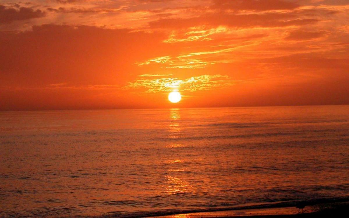 Holiday home Walk To The Or Village In Minutes! Siesta Key