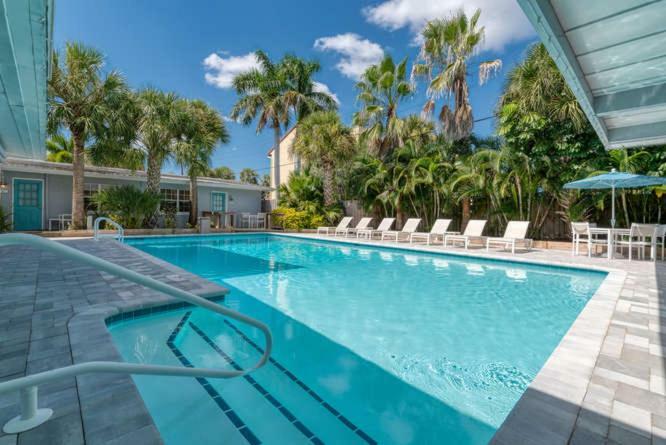 Fiddle Fig Siesta Key
