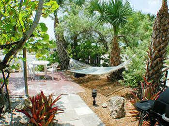 Beach Palms Of Village