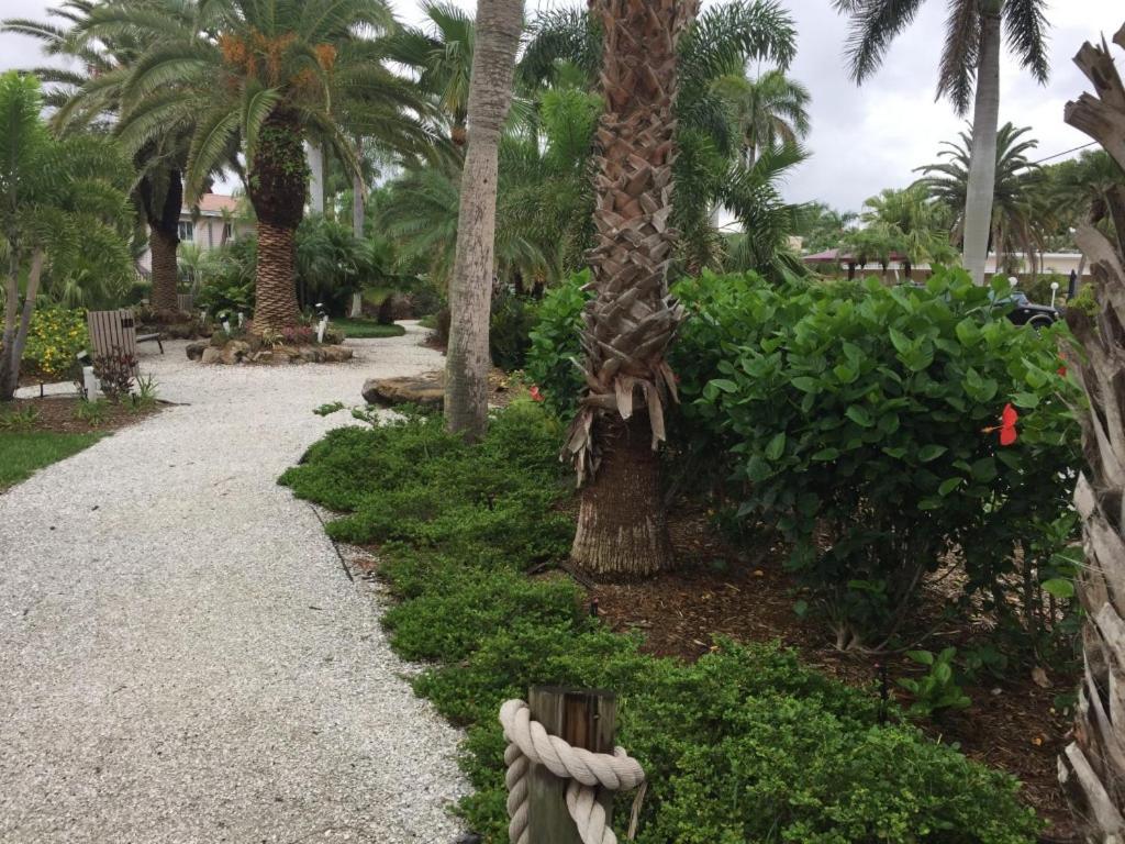 Conclare Beach 2*