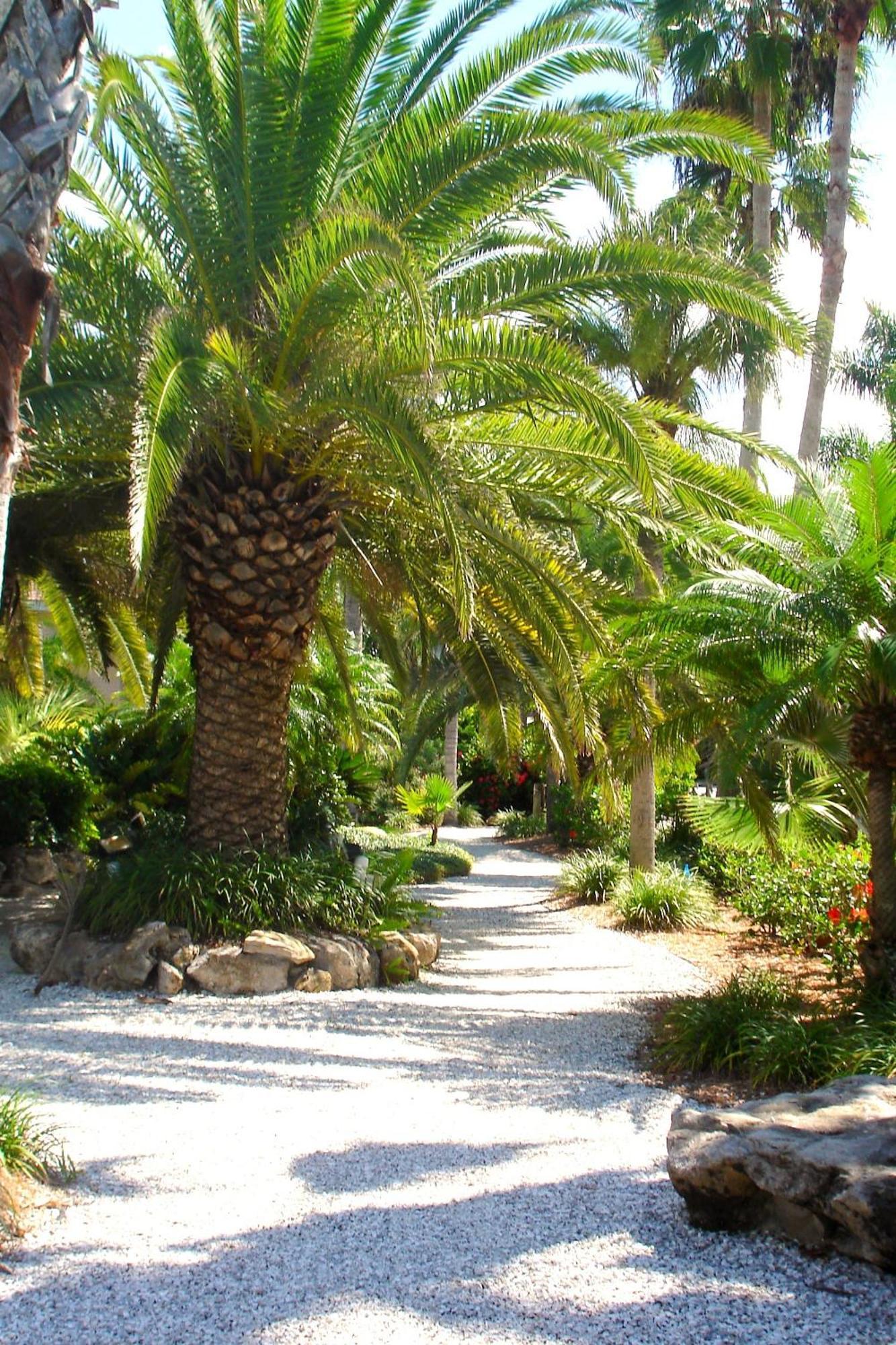 Resort Tropical - Sarasota