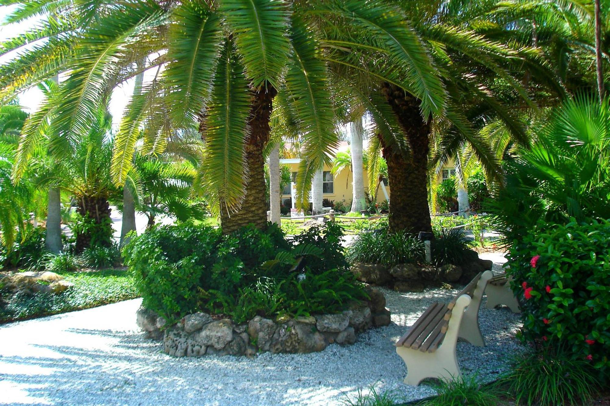 Tropical - Sarasota Resort 3*