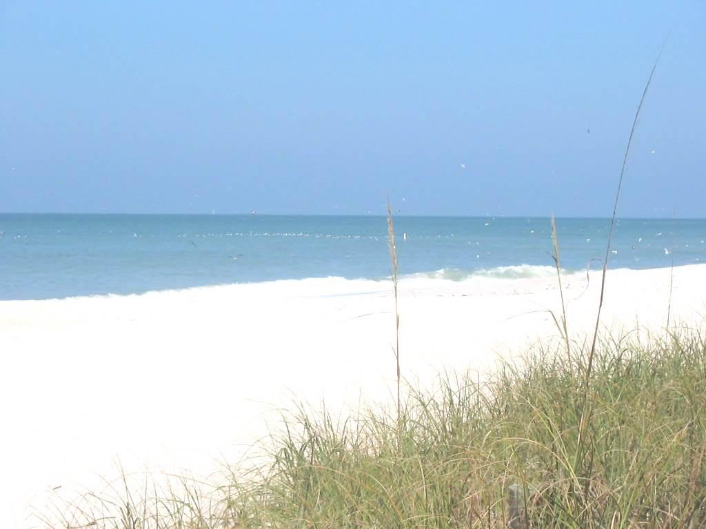 Twin Palms At Siesta Siesta Key